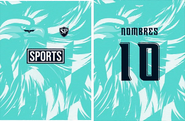 sports eagle lines concept