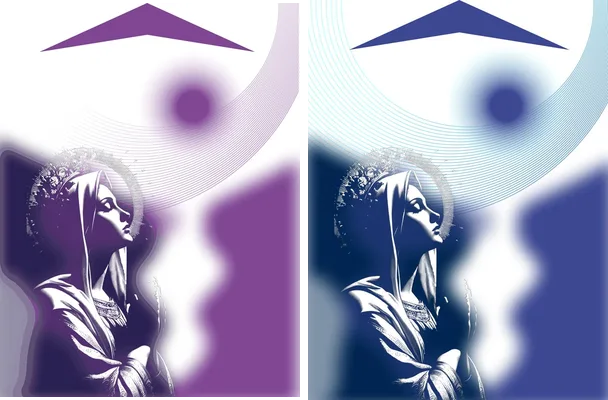 virgen sports design