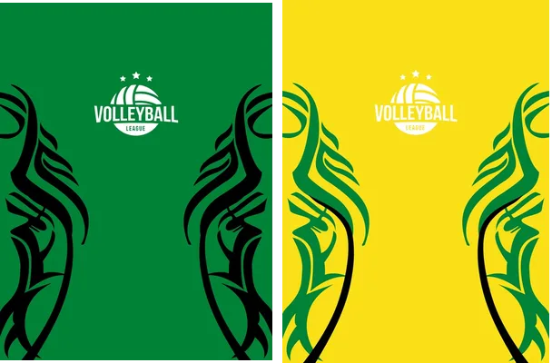 volleyball camiseta personalizado 2